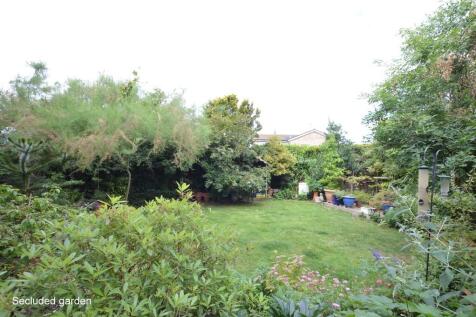 IMAGE 12