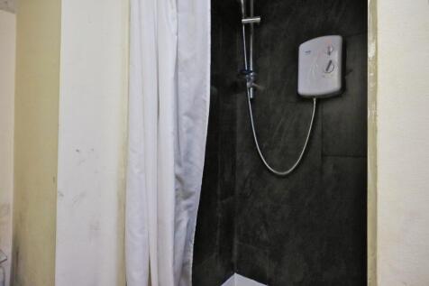 IMAGE 12