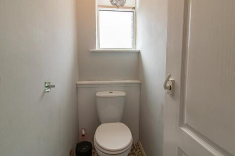 IMAGE 10