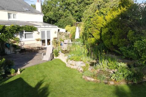 IMAGE 22