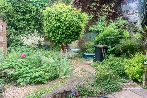 IMAGE 15