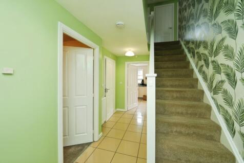 Image 3 