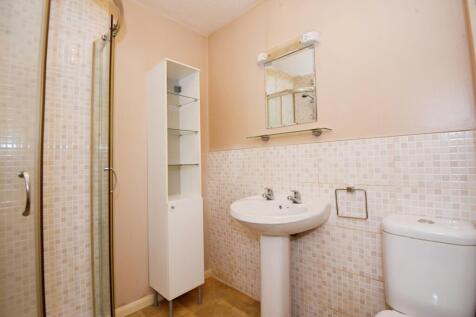 IMAGE 11