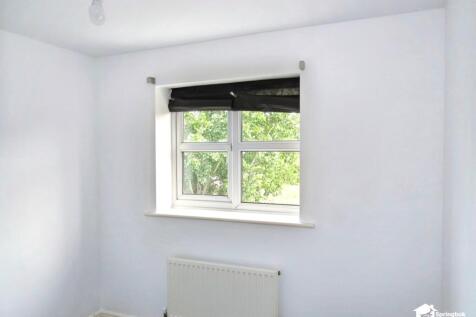 IMAGE 12
