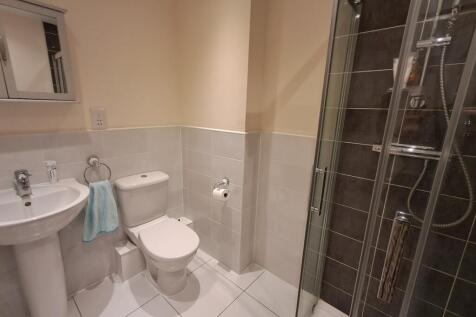IMAGE 11