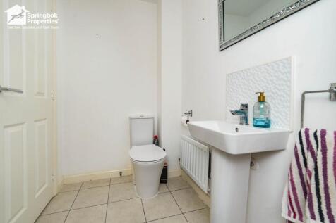 IMAGE 11