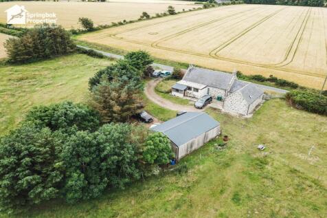 Image 20