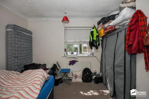 IMAGE 6