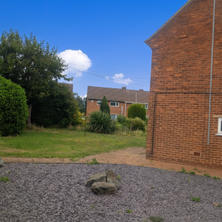 IMAGE 14