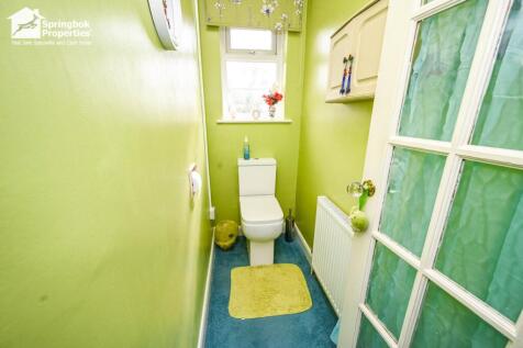 IMAGE 11