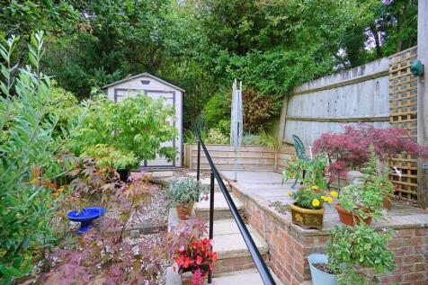 Image 11