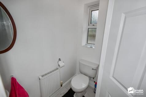 IMAGE 12