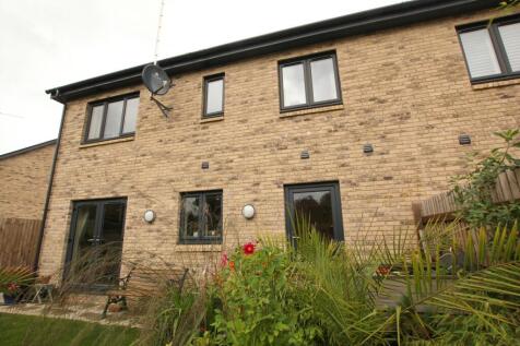IMAGE 15