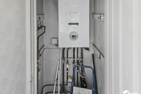 IMAGE 12