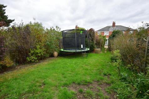 Image 13