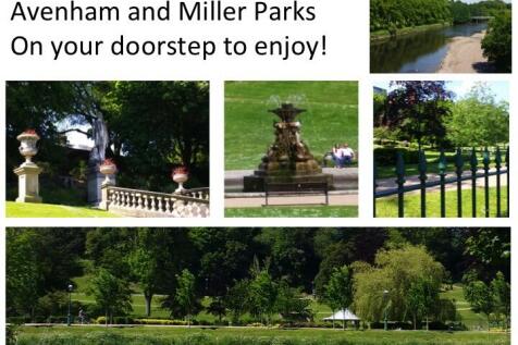 AVENHAM PARK