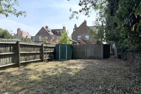 garden 1