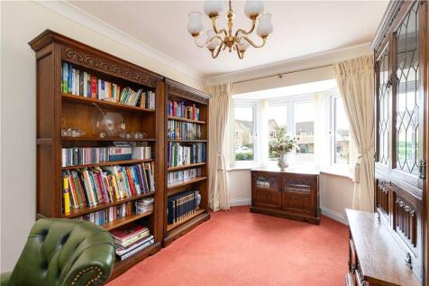 Study/Snug