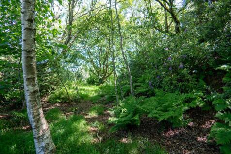 Property Image 39