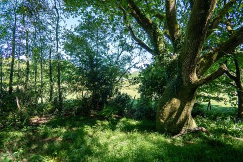 Property Image 40