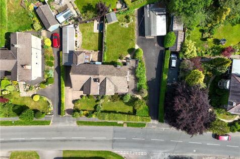 Drone View