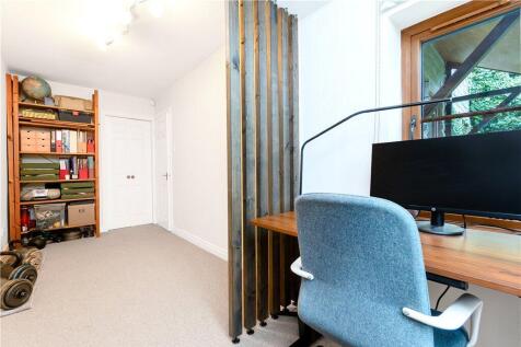Study Area