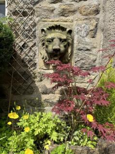 Stone Lion