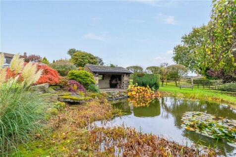 Pond