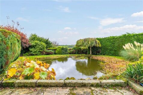 Pond