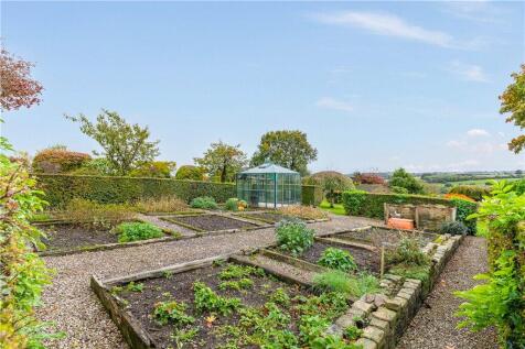 Veg Patch