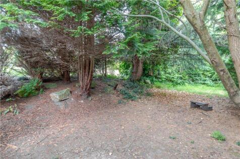 Trees &amp; Shrubs