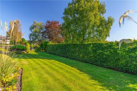 Extensive Grounds