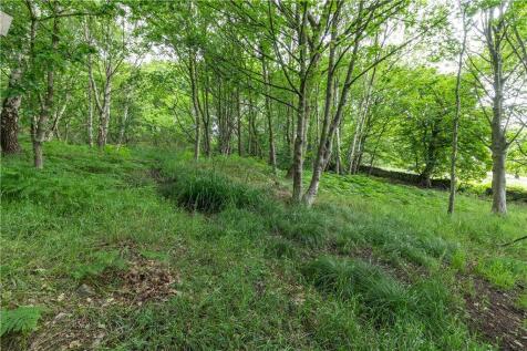 Woodland