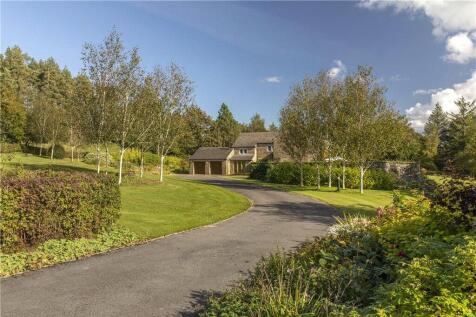 Driveway Approach