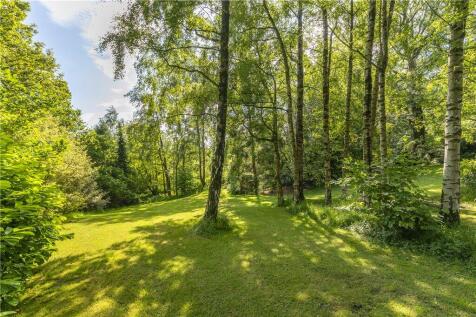 Delightful Grounds