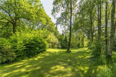 Delightful Grounds