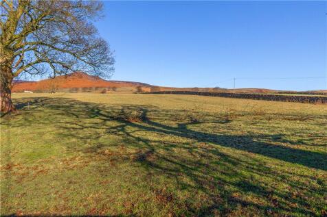 Open Fields