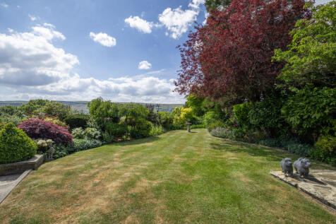 Mature Garden