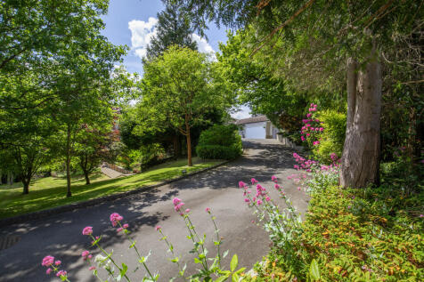 Driveway Approach
