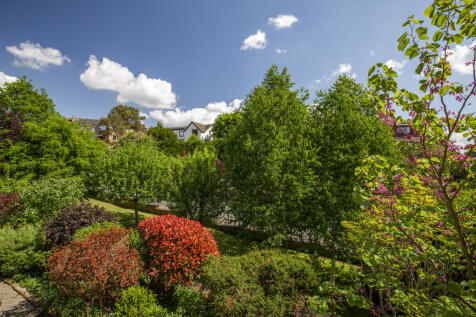 Side Garden