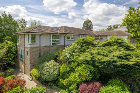 Side Extension