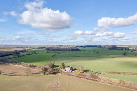 Aerial Shot