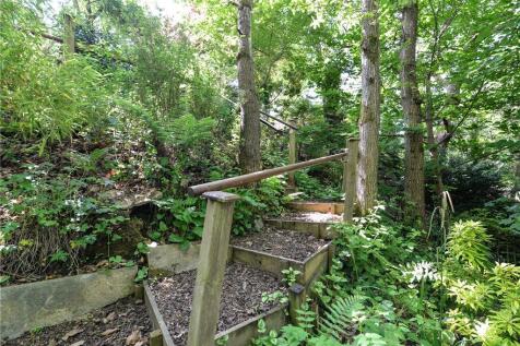 Woodland Garden