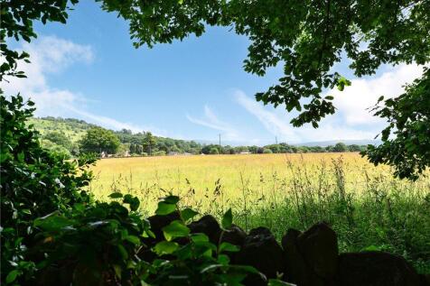 Outlook