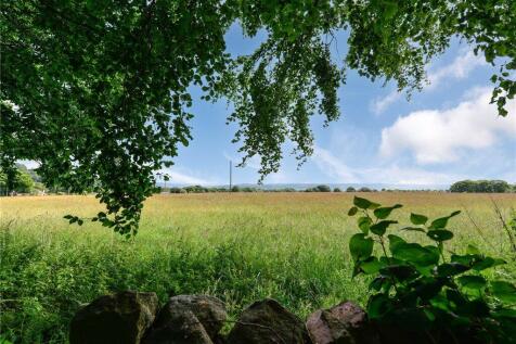 Outlook