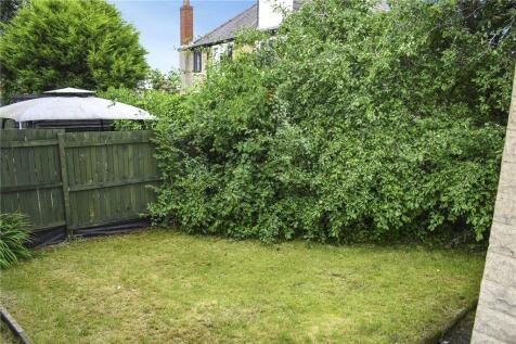 Back Garden