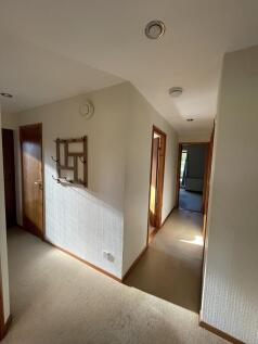 IMG_5050_r