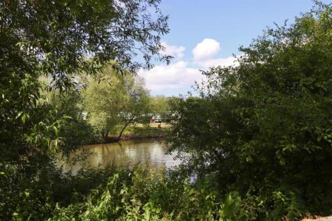 image00001.jpeg