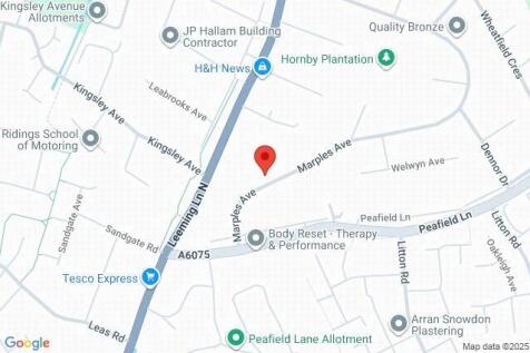 Google Maps Image