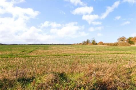 View Of Field